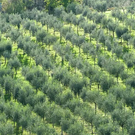 Дом отдыха In Umbria Near Montefalco Winery